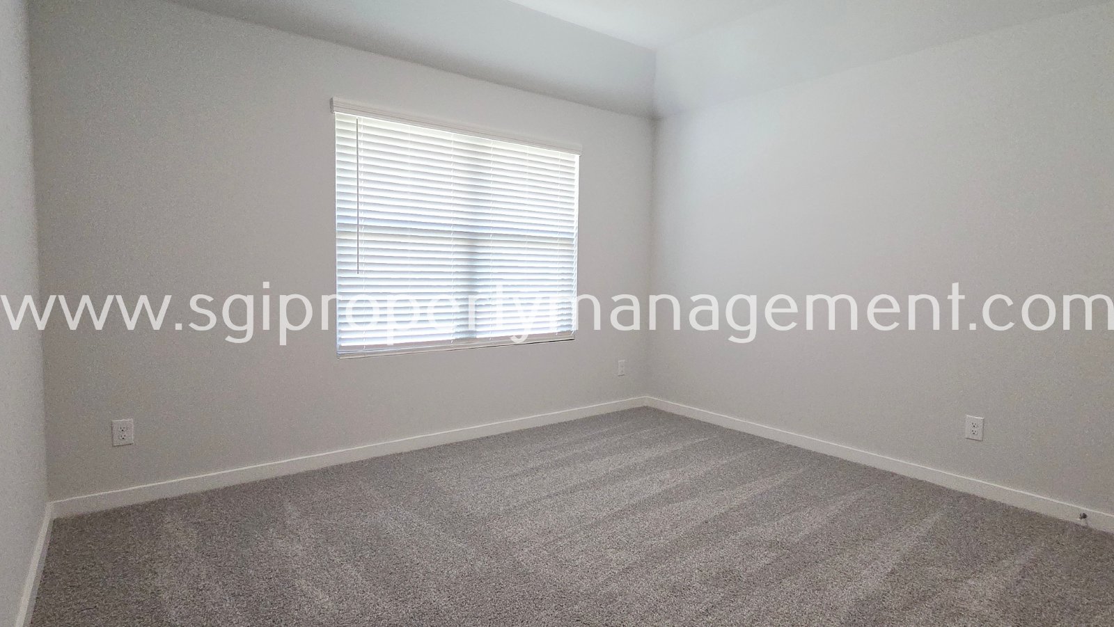 Gorgeous new build ready for move in property image