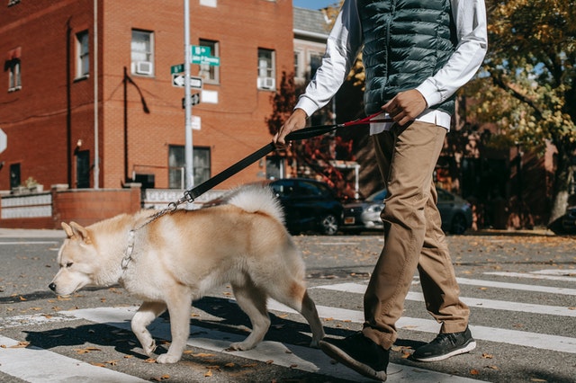 Noise complaints and untrained pets can cause problems in your rentals